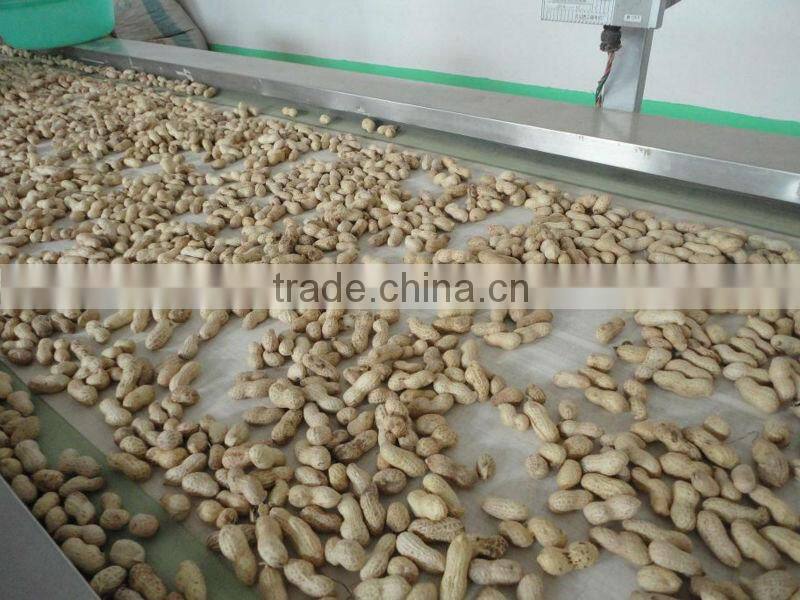 organic peanut in shell Shandong