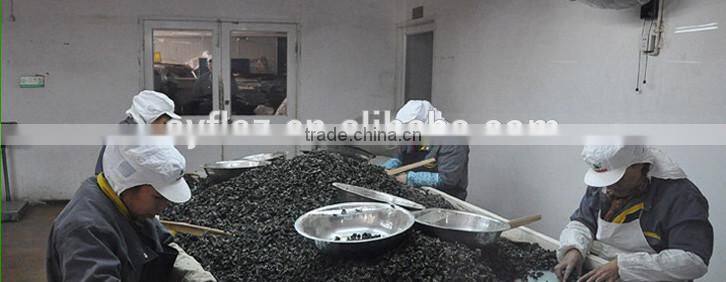 Dried Jew's Ear/ Wood ear mushroom/Cloud ear fungus