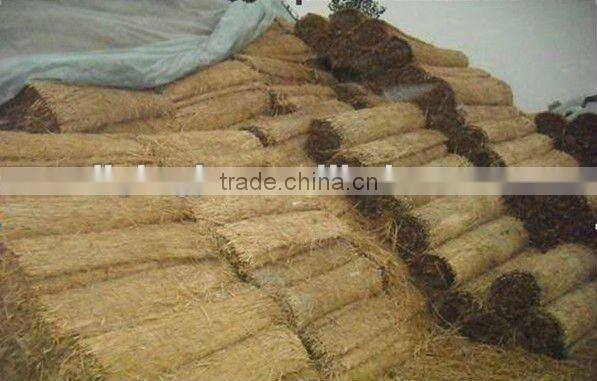 Straw screen machine