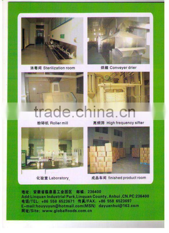 Dehydrated Ginger dry Ginger dried Ginger whole peeled