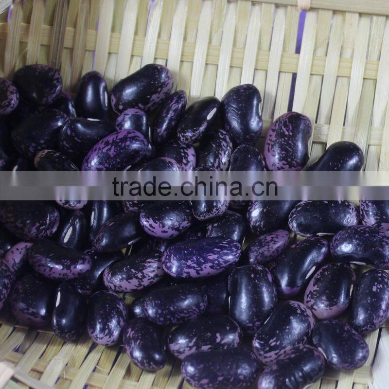 New Crop Large Black Purple Speckled Kidney Beans For Sale