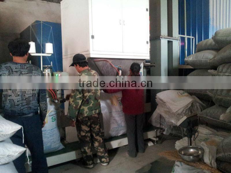 Hot sell chinese sunflower seeds 5009,5135, 20/64,22/64,24/64