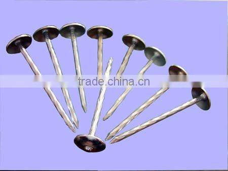 2.5" Umbrella Roofing Nails