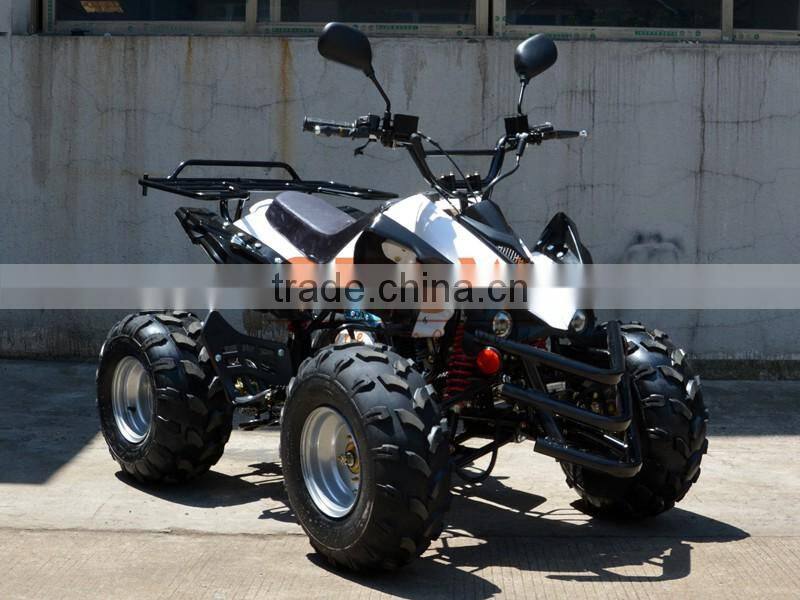 Mini Kids Gas Powered ATV 50cc