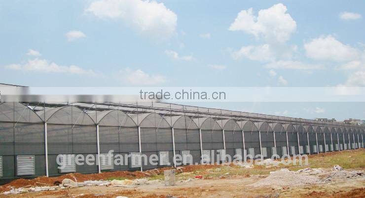 hot sale commerical glass greenhouse shade green house design