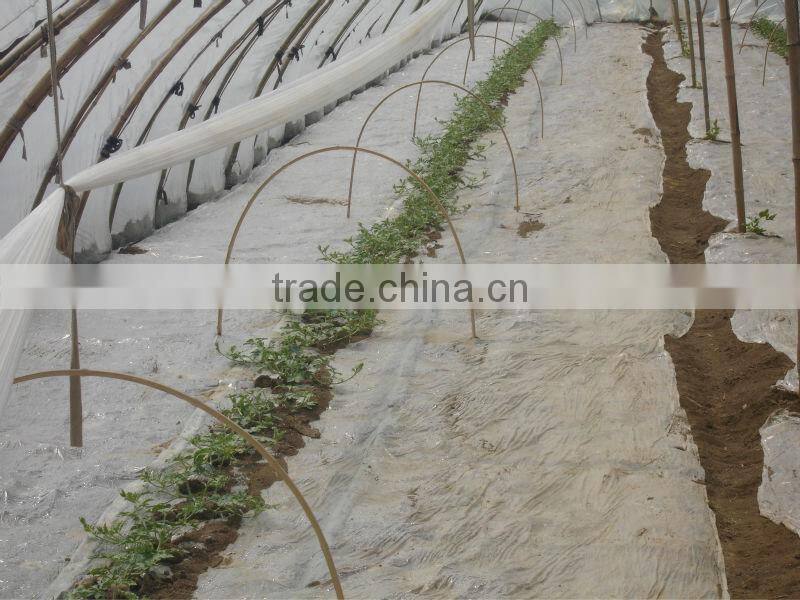 UV protect anti fog Transparent Co extruded PE Cover Film PE mulch film for watermelon greenhouse