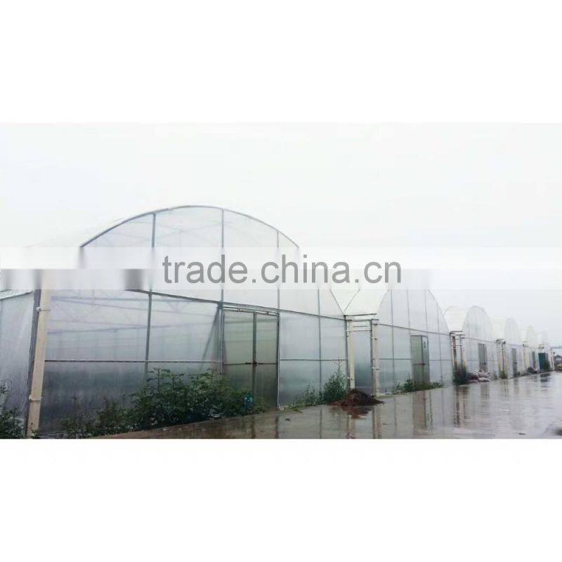Film Cover Material and Multi-Span Agricultural Commercial Greenhouses