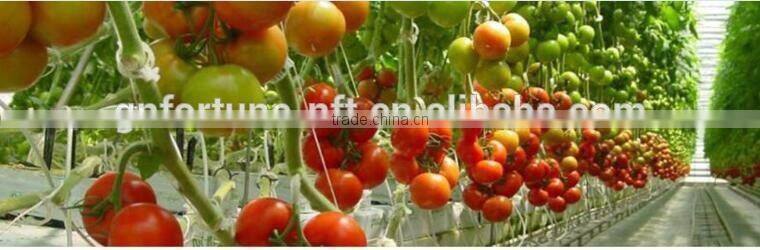 Agricultural Clip Tomato Clip 25mm