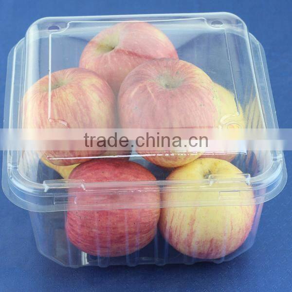 Made In China Clear Folding Blister Pack
