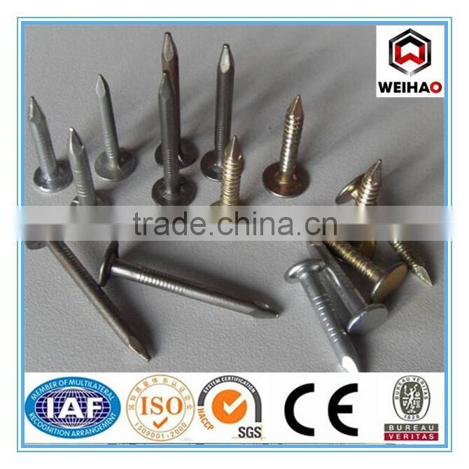 manufacturer Zinc coated/galvanized nails, brass roofing nails !!!