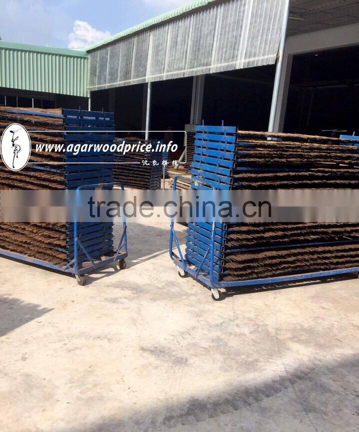 Vietnam original High quality Agarwood incense powder - sweet mad mild scent when burning, supply with large quantity