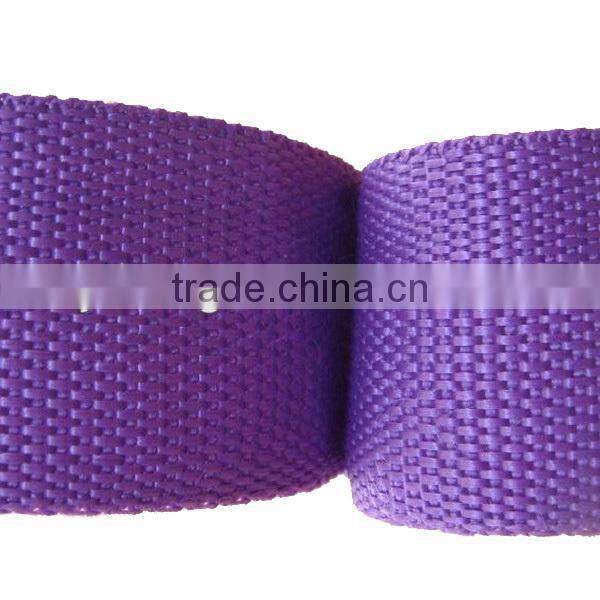 2016 Fashion PP Webbing Band