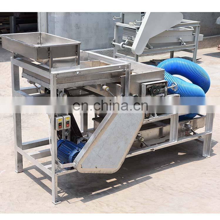 hazelnut chestnut shredder machine cashew nut shredding machine