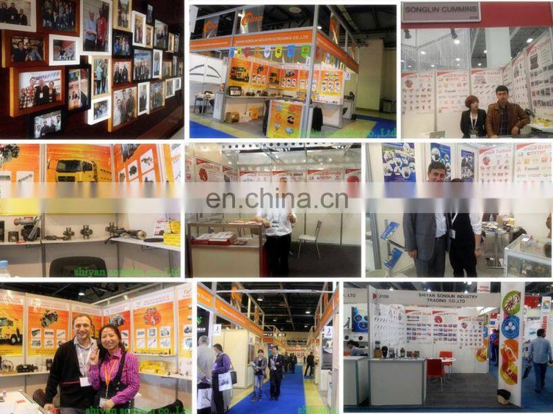 Dongfeng Diesel Engine High Pressure Fuel Injection Pump 0445020007