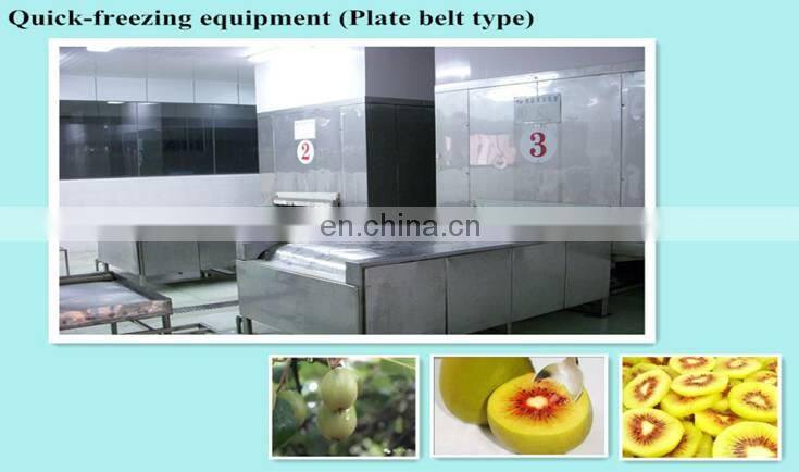 Quick freezing freezer equipment