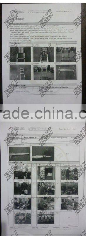 China factory EN131 2.5+2.5 meters aluminum telescopic Ladder