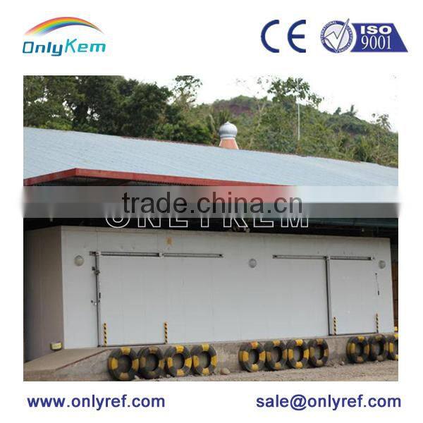 cold storage deep freezer for seafood, green house mobile freezer prices