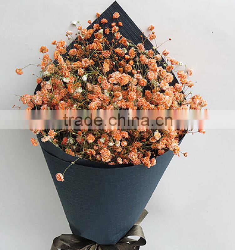 Fresh color unique flower gift gypsophila