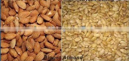 Stainless steel almond wet peeling machine/almond peeler