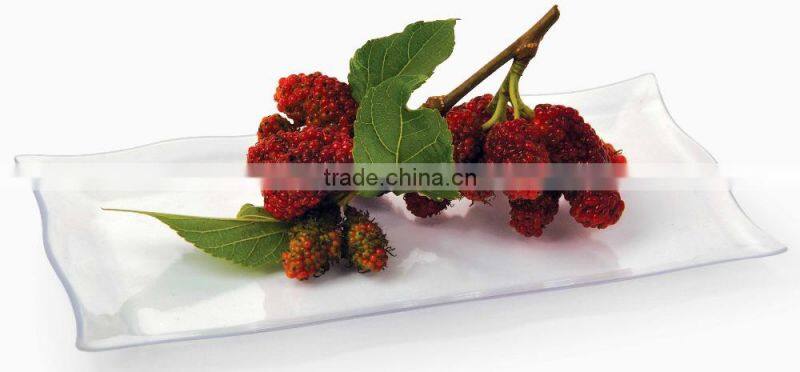 colored wholesale PS disposable plastic plates