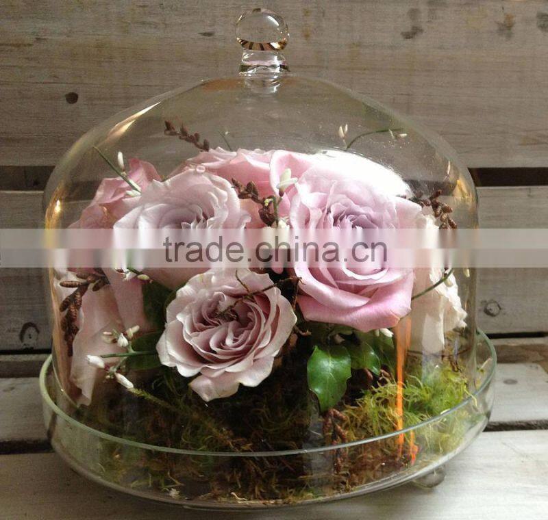 Sodalime Original glass cake plate with dish turkey dome unique design crystal popular homemade