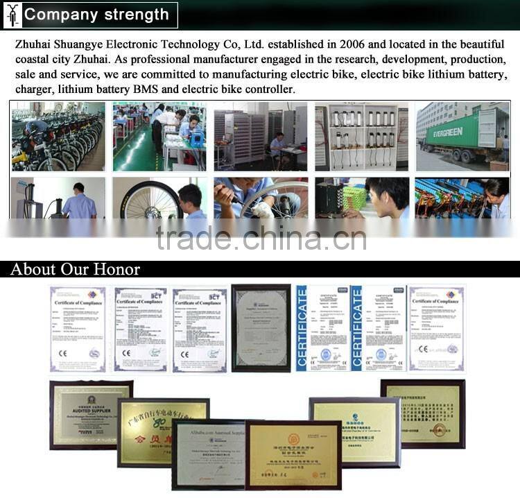 36v 48v 500w 1000w electric bikes kit with battery made in china