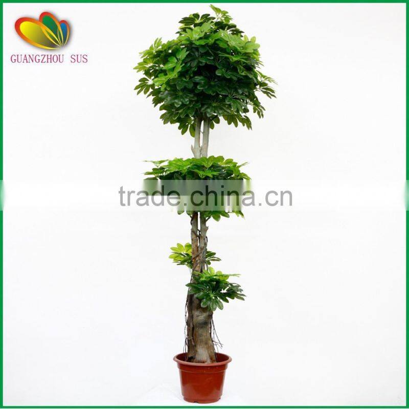 Factory price plastic mini cherry tree indoor decor artificial cherry tree