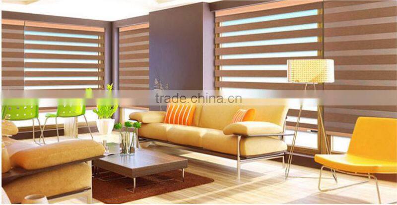 New style double layer fabrics zebra blinds