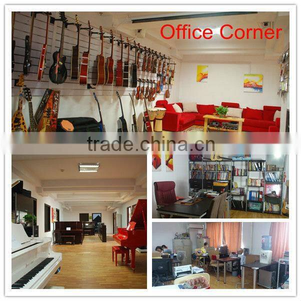 The 2013 new beautiful fashion colorful electric voilin SVE500