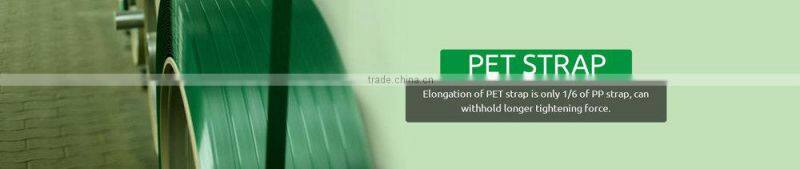 Plastic packing greeen PET strapping band 12-32mm