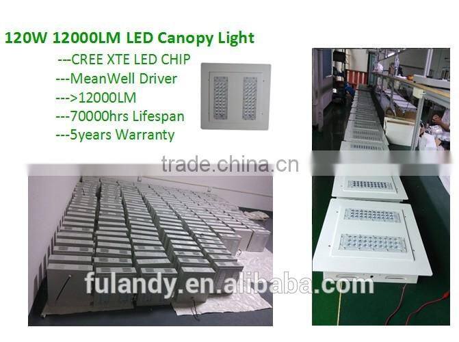 Explosion Proof Gas station LED canopy lights (80W 100W, 120W)