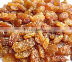 Dried red raisin