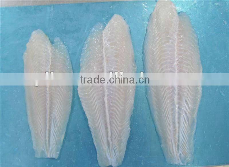 High Quality frozen basa fillet