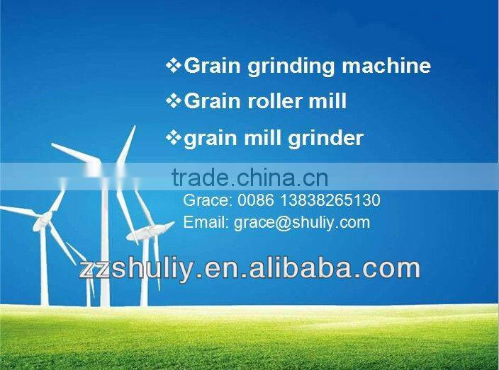 high quality disk mill 0086-13838265130