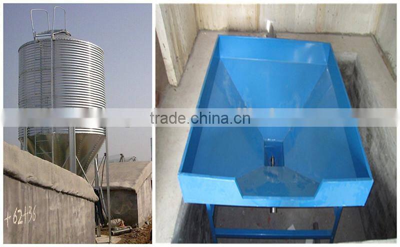 Poultry Farm Design Layout Automatic Broiler Feeding System Agricultural Equipment for Chicken House/Shed/Coop/Hangar/Barn