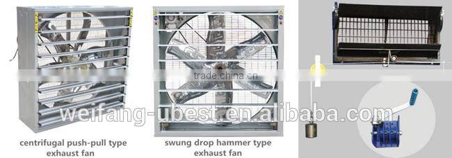 high quality low price industrial steel structure chicken coop