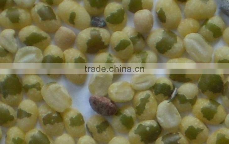 Jiexun automatic CCD mung bean color sorter