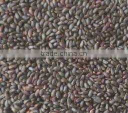2016 hot selling sesame color sorter machine