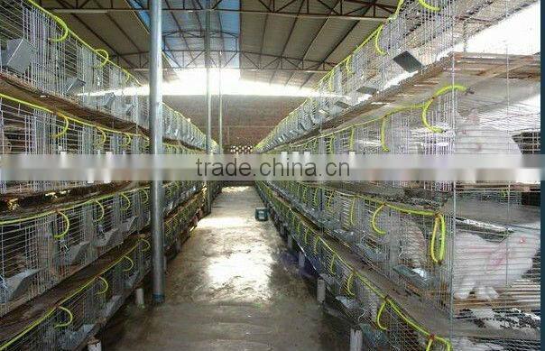 Animal Farm, Poultry Equipment