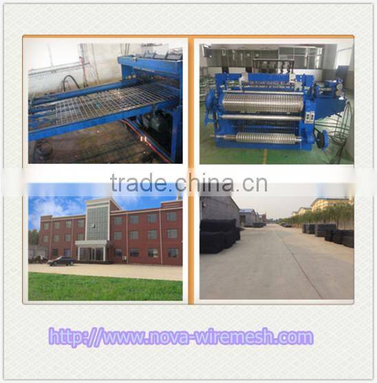 China manufacturer welded wire mesh panel