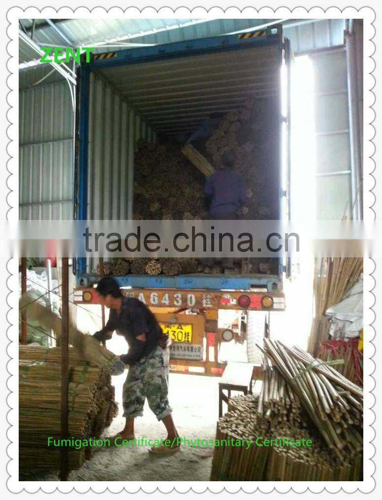 ZENT-143 Nature Dry Small Bamboo Poles/Tokin bamboo