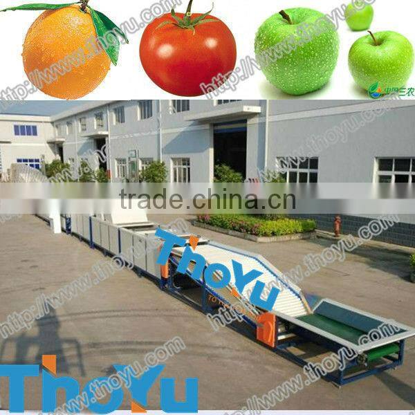 Small tomato grade type machine / Tomato Grader machine in Zhengzhou