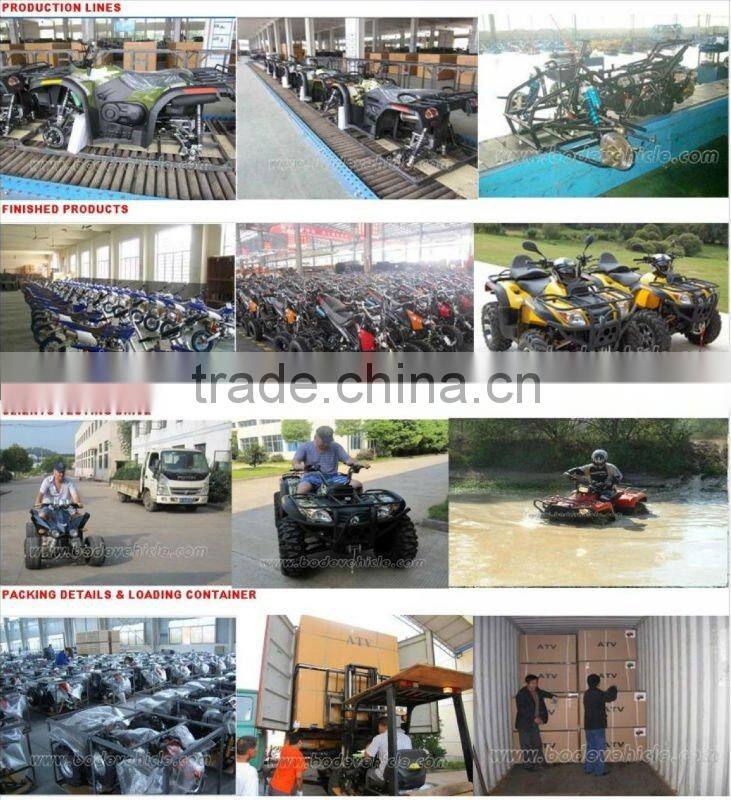 NEW 800W Electric Scooter Christmas Gift /CE Approved (MC-232)