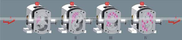 rotor pump rotary pump