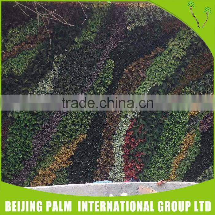 Custom Made Artificial Hot Selling Green wall Decorative Artificial Plant