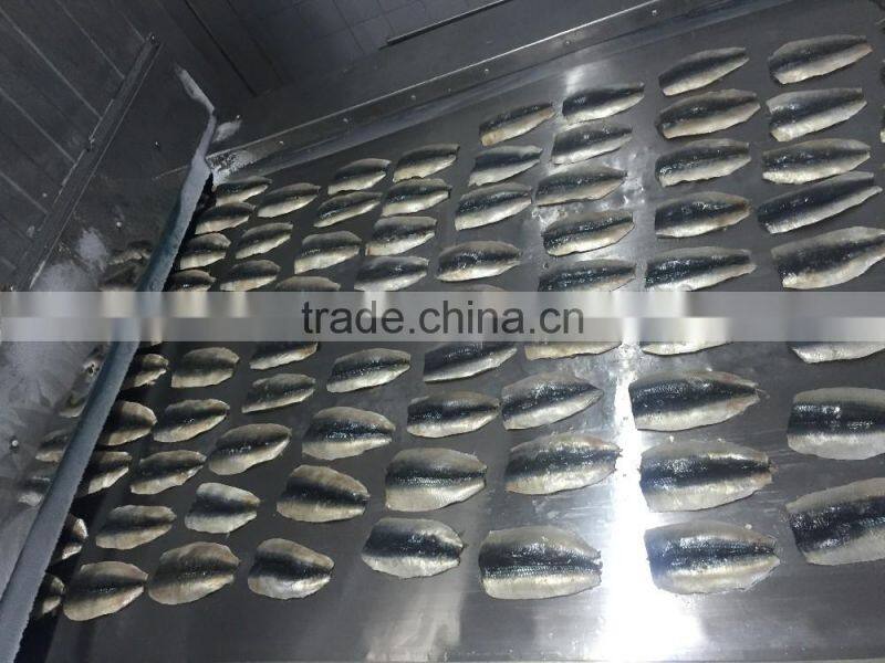 frozen sardine fillets 60-100g/pc skin on ,boneless ,5kgs per carton