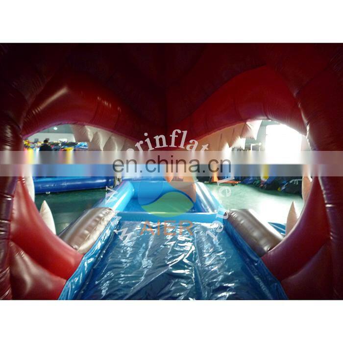 Giant Inflatable shark water slide with pool for sale,Inflatable jumping water slide