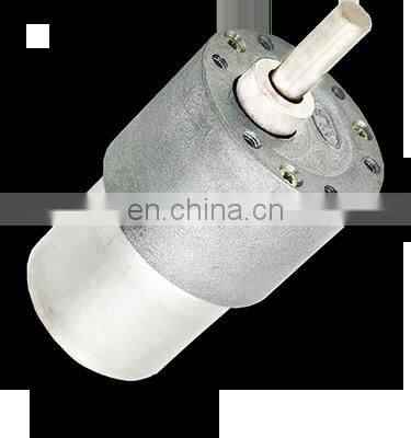 24V 16W Reducer Motor with Gearbox Low rpm DC Gear Motor BMM217M