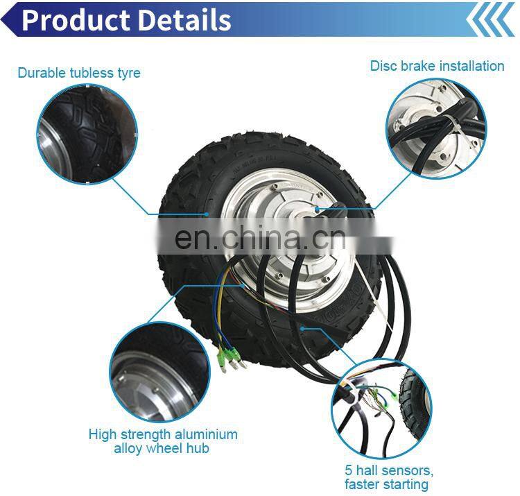 10 Inch 250W 350W 500W 800W Wheel Hub Motor