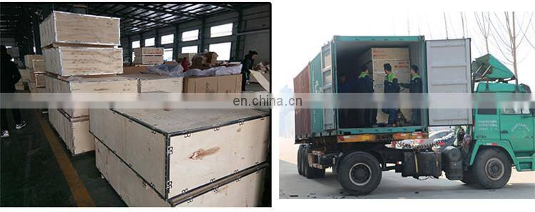 Factory direct selling high-end business rear delt pec fly